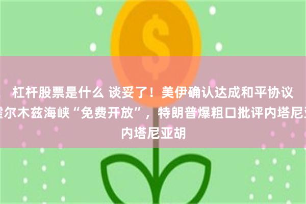 杠杆股票是什么 谈妥了！美伊确认达成和平协议！霍尔木兹海峡“免费开放”，特朗普爆粗口批评内塔尼亚胡