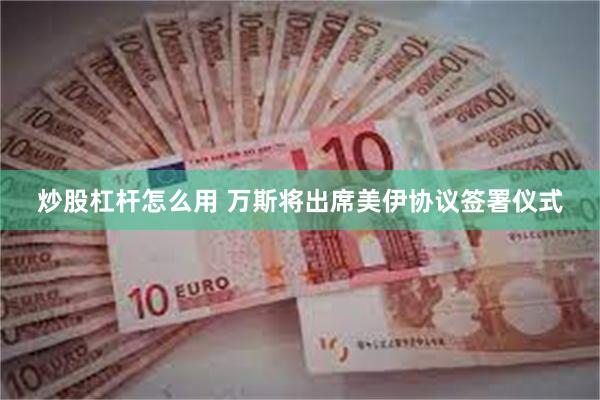 炒股杠杆怎么用 万斯将出席美伊协议签署仪式