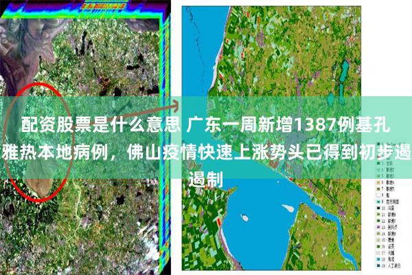 配资股票是什么意思 广东一周新增1387例基孔肯雅热本地病例，佛山疫情快速上涨势头已得到初步遏制