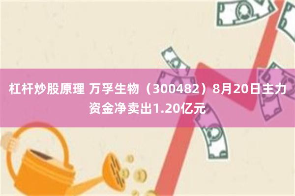 杠杆炒股原理 万孚生物（300482）8月20日主力资金净卖出1.20亿元