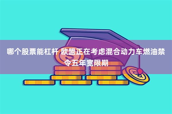 哪个股票能杠杆 欧盟正在考虑混合动力车燃油禁令五年宽限期
