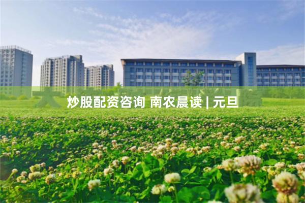 炒股配资咨询 南农晨读 | 元旦