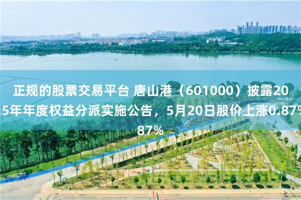正规的股票交易平台 唐山港（601000）披露2025年年度权益分派实施公告，5月20日股价上涨0.87%