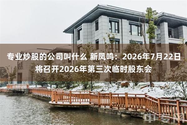 专业炒股的公司叫什么 新凤鸣：2026年7月22日将召开2026年第三次临时股东会