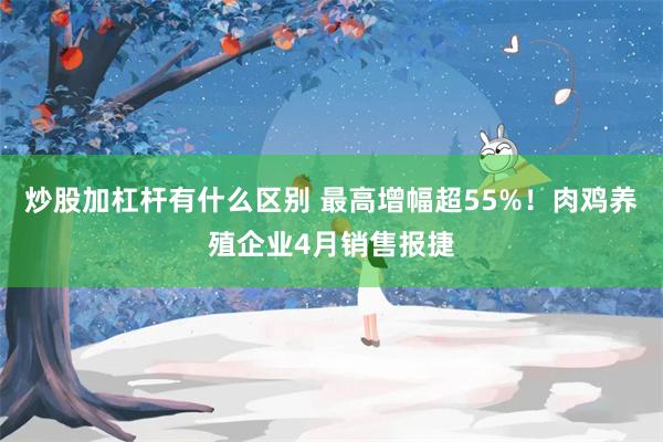炒股加杠杆有什么区别 最高增幅超55%！肉鸡养殖企业4月销售报捷