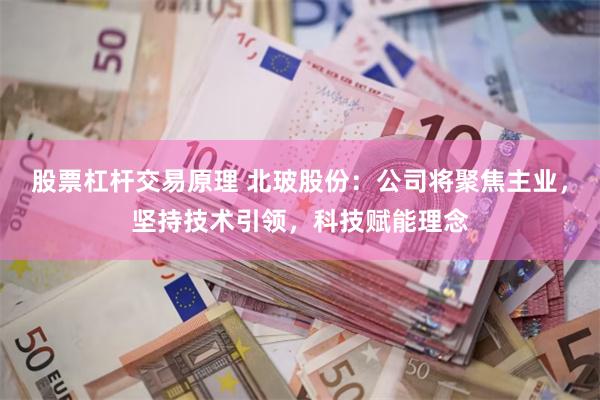 股票杠杆交易原理 北玻股份：公司将聚焦主业，坚持技术引领，科技赋能理念