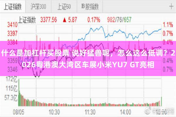 什么是加杠杆买股票 说好猛兽呢，怎么这么低调？2026粤港澳大湾区车展小米YU7 GT亮相
