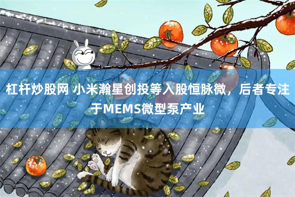 杠杆炒股网 小米瀚星创投等入股恒脉微，后者专注于MEMS微型泵产业