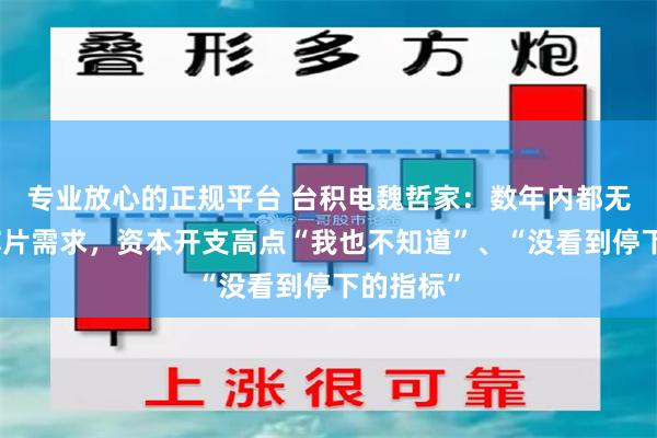 专业放心的正规平台 台积电魏哲家：数年内都无法满足芯片需求，资本开支高点“我也不知道”、“没看到停下的指标”