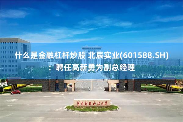 什么是金融杠杆炒股 北辰实业(601588.SH)：聘任高新勇为副总经理