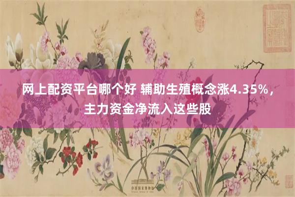 网上配资平台哪个好 辅助生殖概念涨4.35%，主力资金净流入这些股