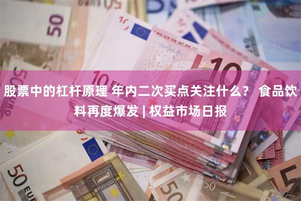 股票中的杠杆原理 年内二次买点关注什么? 食品饮料再度爆发 | 权益市场日报