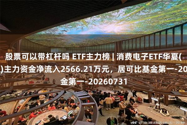 股票可以带杠杆吗 ETF主力榜 | 消费电子ETF华夏(159732)主力资金净流入2566.21万元，居可比基金第一-20260731