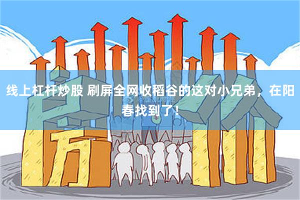 线上杠杆炒股 刷屏全网收稻谷的这对小兄弟,在阳春找到了!