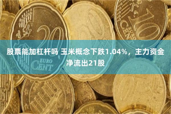 股票能加杠杆吗 玉米概念下跌1.04%，主力资金净流出21股