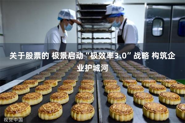 关于股票的 极景启动“极效率3.0”战略 构筑企业护城河
