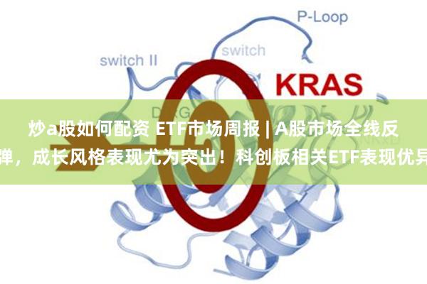 炒a股如何配资 ETF市场周报 | A股市场全线反弹，成长风格表现尤为突出！科创板相关ETF表现优异