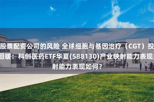 股票配资公司的风险 全球细胞与基因治疗（CGT）投融资回暖：科创医药ETF华夏(588130)产业映射能力表现如何？