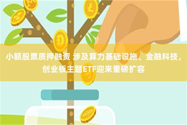 小额股票质押融资 涉及算力基础设施、金融科技，创业板主题ETF迎来重磅扩容