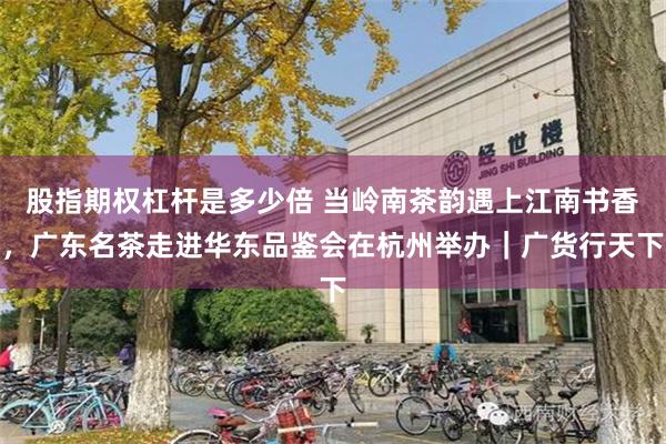 股指期权杠杆是多少倍 当岭南茶韵遇上江南书香,广东名茶走进华东品鉴会在杭州举办|广货行天下