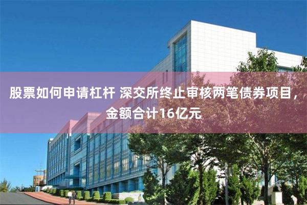 股票如何申请杠杆 深交所终止审核两笔债券项目，金额合计16亿元