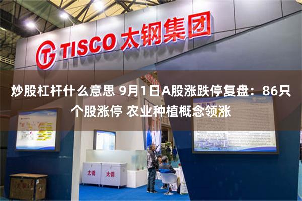 炒股杠杆什么意思 9月1日A股涨跌停复盘：86只个股涨停 农业种植概念领涨