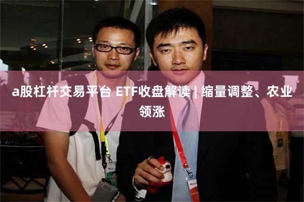 a股杠杆交易平台 ETF收盘解读 | 缩量调整、农业领涨