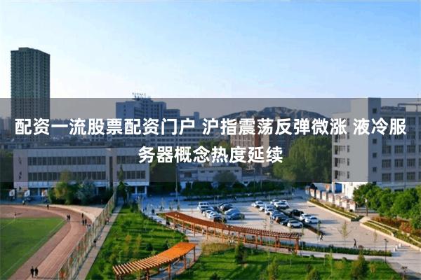 配资一流股票配资门户 沪指震荡反弹微涨 液冷服务器概念热度延续