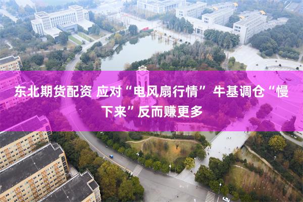 东北期货配资 应对“电风扇行情” 牛基调仓“慢下来”反而赚更多