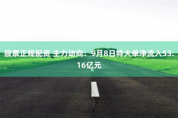 股票正规配资 主力动向:9月8日特大单净流入53.16亿元
