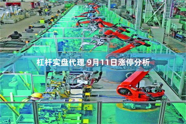 杠杆实盘代理 9月11日涨停分析