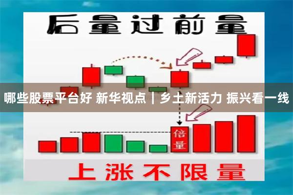 哪些股票平台好 新华视点｜乡土新活力 振兴看一线