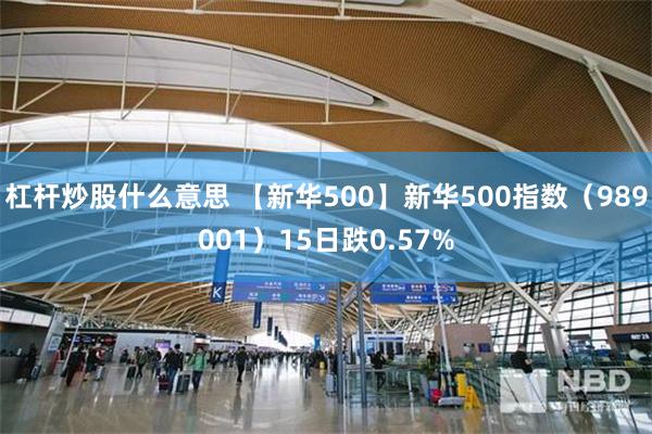 杠杆炒股什么意思 【新华500】新华500指数（989001）15日跌0.57%