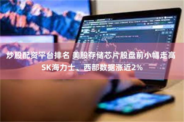 炒股配资平台排名 美股存储芯片股盘前小幅走高 SK海力士、西部数据涨近2%