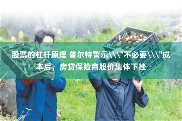 股票的杠杆原理 普尔特警示\＂不必要\＂成本后，房贷保险商股价集体下挫