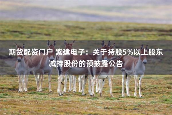 期货配资门户 紫建电子：关于持股5%以上股东减持股份的预披露公告
