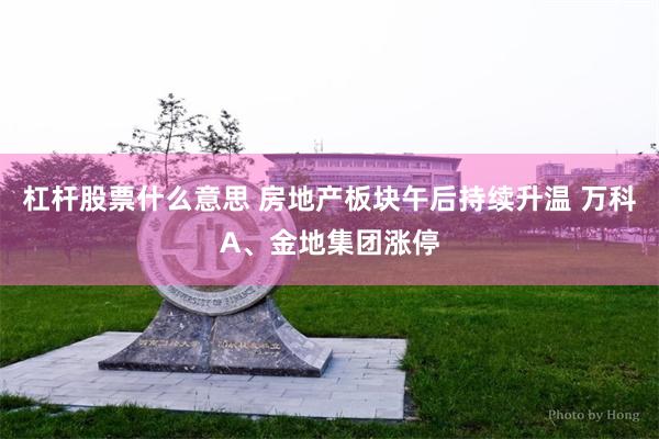 杠杆股票什么意思 房地产板块午后持续升温 万科A、金地集团涨停