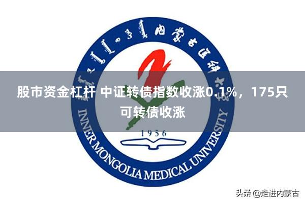 股市资金杠杆 中证转债指数收涨0.1%,175只可转债收涨