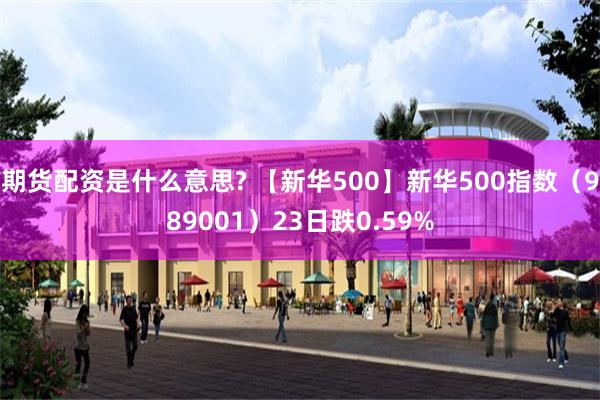 期货配资是什么意思? 【新华500】新华500指数（989001）23日跌0.59%