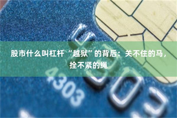股市什么叫杠杆 “越狱”的背后：关不住的马，拴不紧的绳