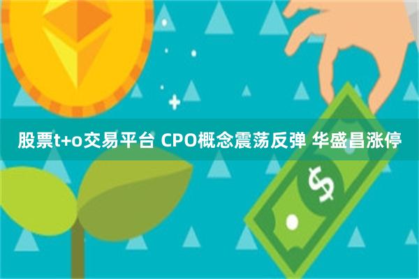 股票t+o交易平台 CPO概念震荡反弹 华盛昌涨停