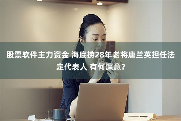 股票软件主力资金 海底捞28年老将唐兰英担任法定代表人 有何深意？