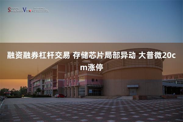 融资融券杠杆交易 存储芯片局部异动 大普微20cm涨停