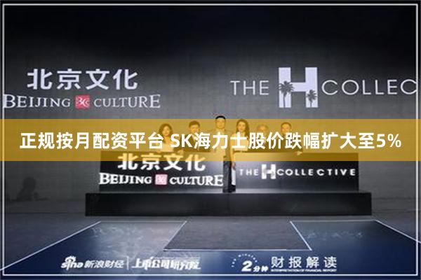 正规按月配资平台 SK海力士股价跌幅扩大至5%