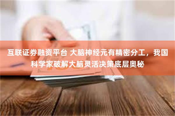 互联证劵融资平台 大脑神经元有精密分工，我国科学家破解大脑灵活决策底层奥秘