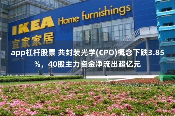 app杠杆股票 共封装光学(CPO)概念下跌3.85%,40股主力资金净流出超亿元