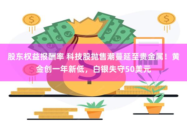 股东权益报酬率 科技股抛售潮蔓延至贵金属！黄金创一年新低，白银失守50美元